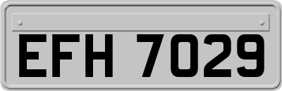 EFH7029