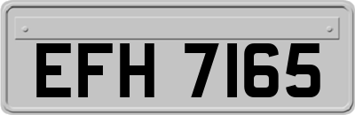 EFH7165