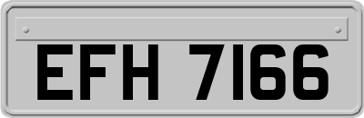 EFH7166