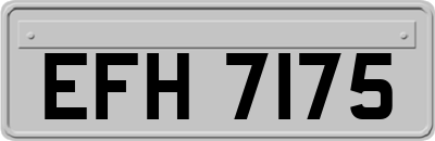 EFH7175