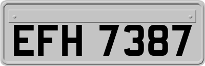 EFH7387