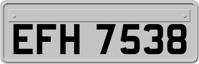 EFH7538