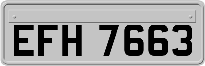 EFH7663