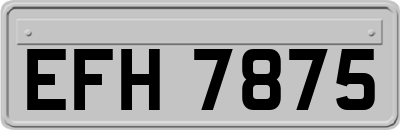 EFH7875