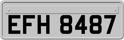 EFH8487