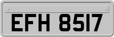 EFH8517