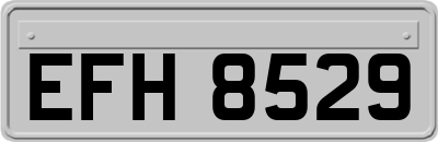 EFH8529