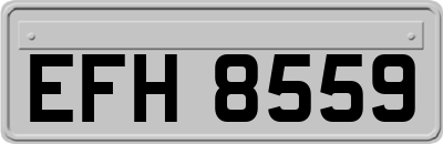 EFH8559