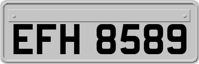 EFH8589