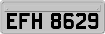 EFH8629