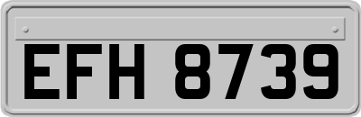 EFH8739