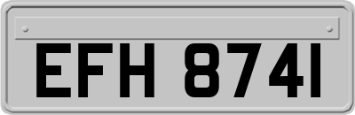 EFH8741