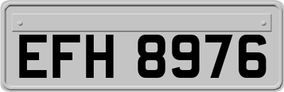 EFH8976