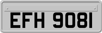 EFH9081