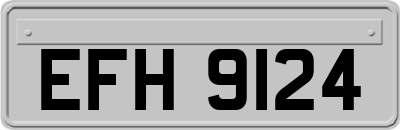 EFH9124