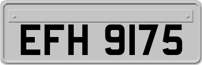 EFH9175