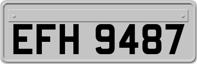 EFH9487