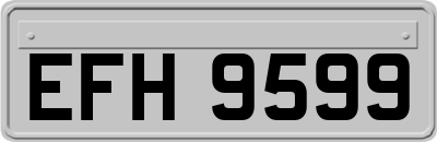 EFH9599