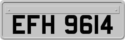 EFH9614