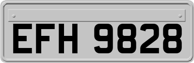EFH9828
