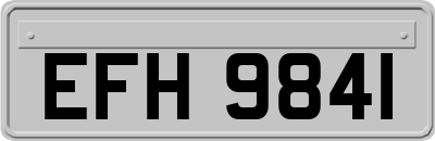 EFH9841