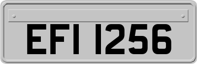 EFI1256