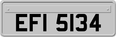 EFI5134