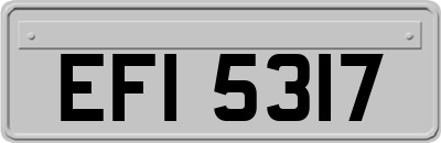 EFI5317
