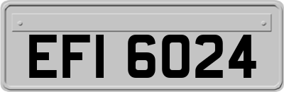 EFI6024