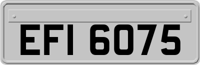 EFI6075