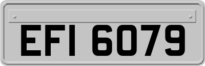 EFI6079
