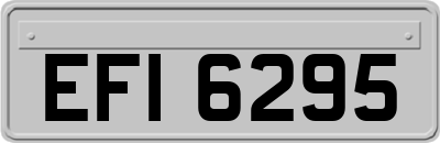 EFI6295