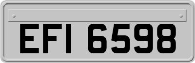EFI6598
