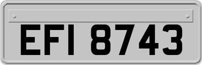 EFI8743