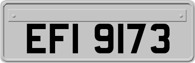 EFI9173