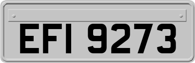 EFI9273