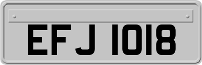 EFJ1018