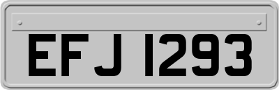 EFJ1293