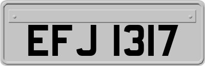 EFJ1317