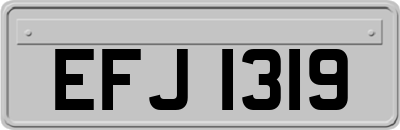 EFJ1319