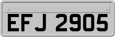 EFJ2905
