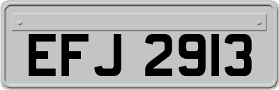 EFJ2913