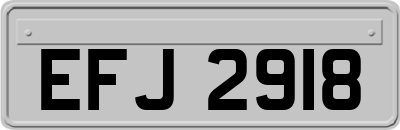 EFJ2918