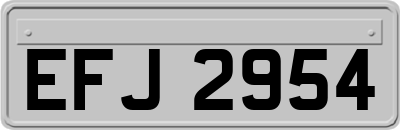 EFJ2954