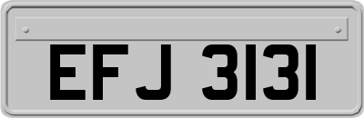 EFJ3131