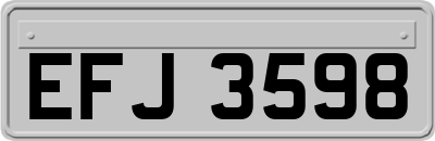 EFJ3598