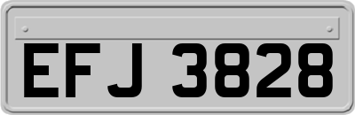 EFJ3828