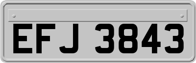 EFJ3843