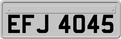 EFJ4045