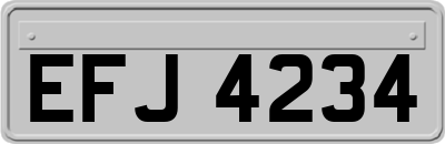 EFJ4234